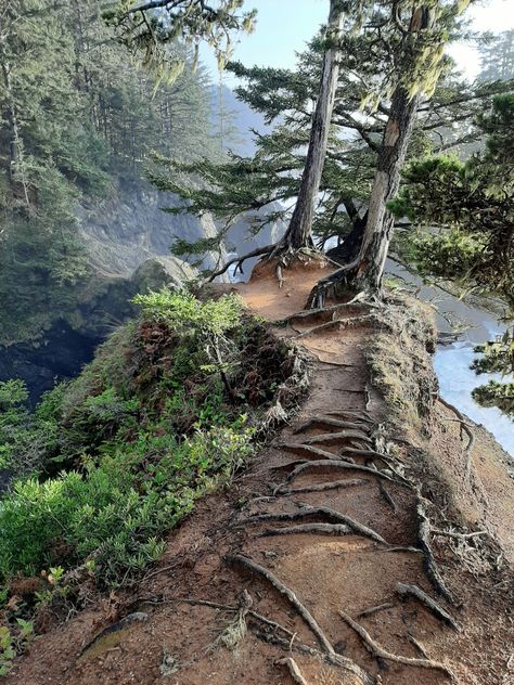 Southern Oregon Coast, Natural Bridge, Southern Oregon, Pretty Landscapes, Oregon Travel, Crashing Waves, Oregon Coast, Magical Places, Oh The Places Youll Go