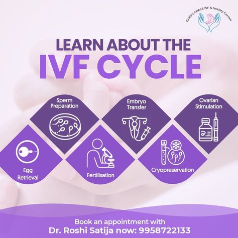 Here's what you can expect on your IVF journey. Get the answer to all your queries related to pregnancy by IVF expert Dr. Roshi Satija. #obesity #fertility #pregnancy #healthypregnancy #drroshisatija Ivf Pregnancy, Fertility Clinic, Ivf Journey, Ivf Cycle, Creative Post, Ivf Center, Fertility Center, Social Media Ideas, Healthy Pregnancy