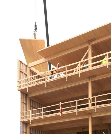 Yard Office, Architecture Crafts, Seismic Design, Mass Timber, Commercial And Office Architecture, Timber Architecture, Timber Buildings, Wood Building, Wood Architecture