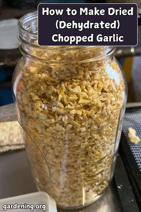 Want to preserve garlic in a flavorful way? Learn how to make dried chopped garlic with our easy guide and bonus seasoning recipes! Dehydrated Seasoning, Preserve Garlic, Curing Garlic, Dehydrated Garlic, Hardneck Garlic, Harvesting Garlic, Garlic Seasoning, Chopped Garlic, Seasoning Recipes