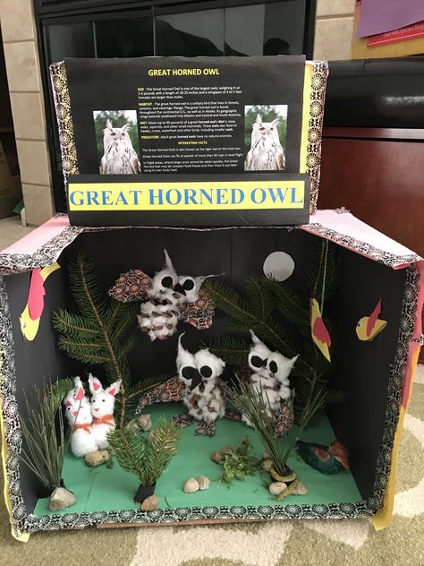 Owl Diorama, Owl Box, Barred Owl, Great Horned Owl, Science Project, Snowy Owl, School Help, Science Projects, School Projects