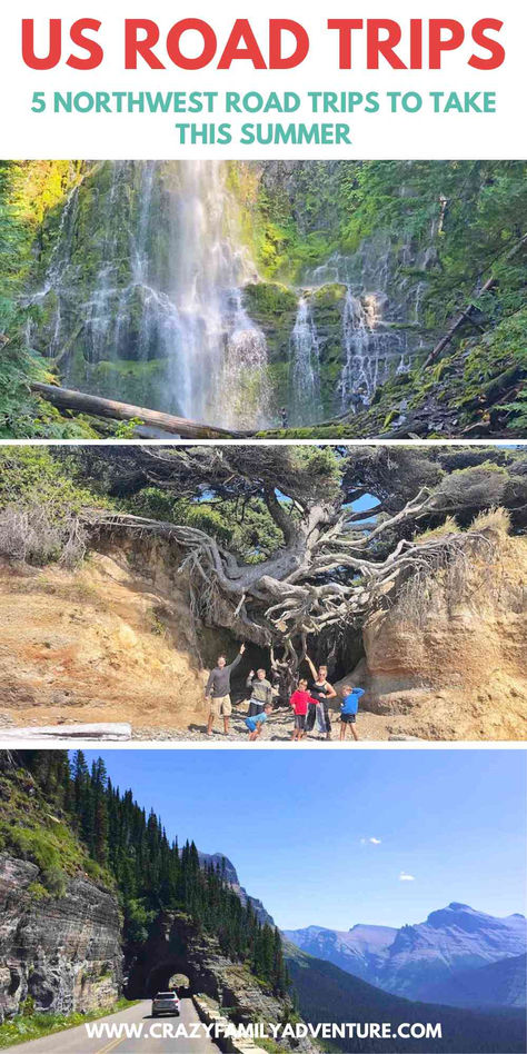 Picture of a waterfall, a family pointing at the roots of the tree of life and a car driving on the going to the sun road. Text reads: US Road Trips - 5 Northwest Road Trips To Take This Summer Summer Road Trip Ideas, Usa Road Trips, Family Travel Ideas, Road Trip Ideas, Bucket List Family, National Park Road Trip, Family Road Trips, Travel Family, Summer Road Trip