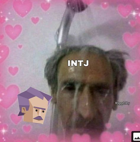 Intp T Meme, The Analysts Mbti Meme, Intj Memes Humor, Intj Stereotypes, The Analysts Mbti, Intj Memes Funny, Intj X Istp, Mbti Analysis, Intp X Intj