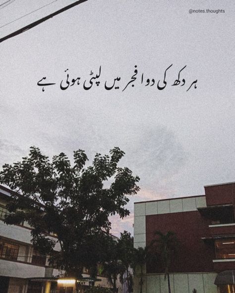 Fajr 🖤 Fajar Quotes, Urdu Lines For Caption, Namaz Quotes, Beautiful Profile Pictures, Urdu Lines, Islamic Posts, Cute Panda Wallpaper, Cute Love Wallpapers, Urdu Thoughts