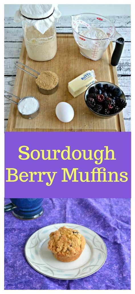 Everything you need to make these tasty Sourdough Berry Muffins! #sourdoughrecipes #berryrecipes #muffinsrecipes | Sourdough Recipes | Sourdough Discard Recipes | Berry Recipes | Blueberry Recipes | Blackberry Recipes | Muffin Recipes | Breakfast Recipes | Muffin Monday | Bread recipes | Muffin Recipes Breakfast, Muffin Monday, Mixed Berry Muffins, Sourdough Discard Recipes, Sourdough Muffins, Pretzel Desserts, Breakfast Muffin, Berry Recipes, Blackberry Recipes