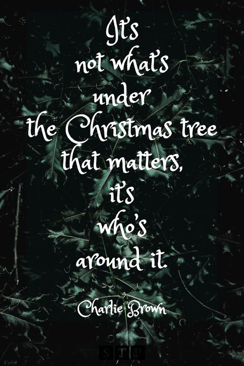 Susan Its Not Whats Under The Tree Quotes, Christmas Elementary School, Elementary School Quotes, Christmas Tree Quotes, Charlie Brown Quotes, Board Sayings, Charlie Brown Tree, Brown Photo, Christmas Wooden Signs