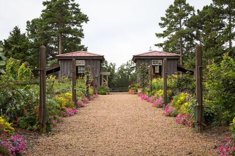 P. Allen Smith's Moss Mountain Farm - Flower Magazine Moss Mountain Farm, Flower Magazine, P Allen Smith, Mountain Farm, Potager Garden, Sustainable Living, Will Smith, Garden Arch, Vegetable Garden