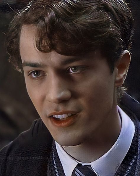 Tom Riddle Funny Pictures, Tom Riddle Pictures, Tom Riddle Smiling, Tom Riddle Cute Pictures, Tom Riddle Fan Art Y/n, Christian Coulson, Young Tom Riddle, Harry Potter Toms, Draco Malfoy Aesthetic