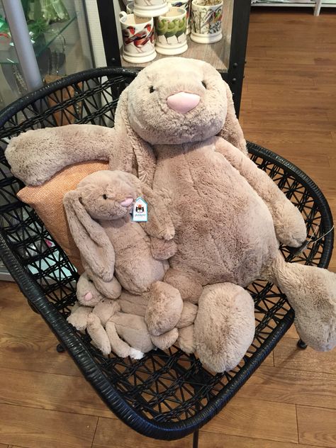 Teddy Photos, Giant Stuffed Animals, Totoro Plush, Jellycat Bunny, Giant Bunny, Jellycat Stuffed Animals, Cute Bunny Pictures, Bunny Pictures, Super Cute Animals