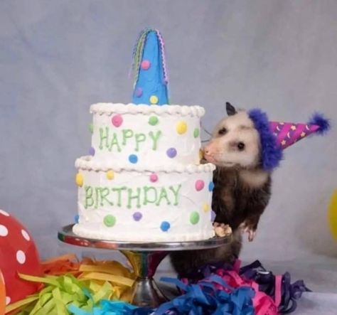 Save The Bees, Ferret, Happy Birthday, Trees, Tumblr, Cake, Birthday