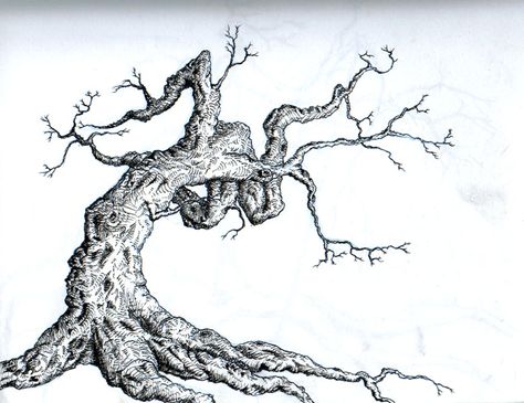 tree by LaughingTree.deviantart.com on @deviantART Ash Tree Tattoo, Tree Tat, Pine Tattoo, Rabe Tattoo, Tree Tattoo Back, Tattoo Tree, Pine Tree Tattoo, Fairy Tattoo Designs, Tree Drawings Pencil