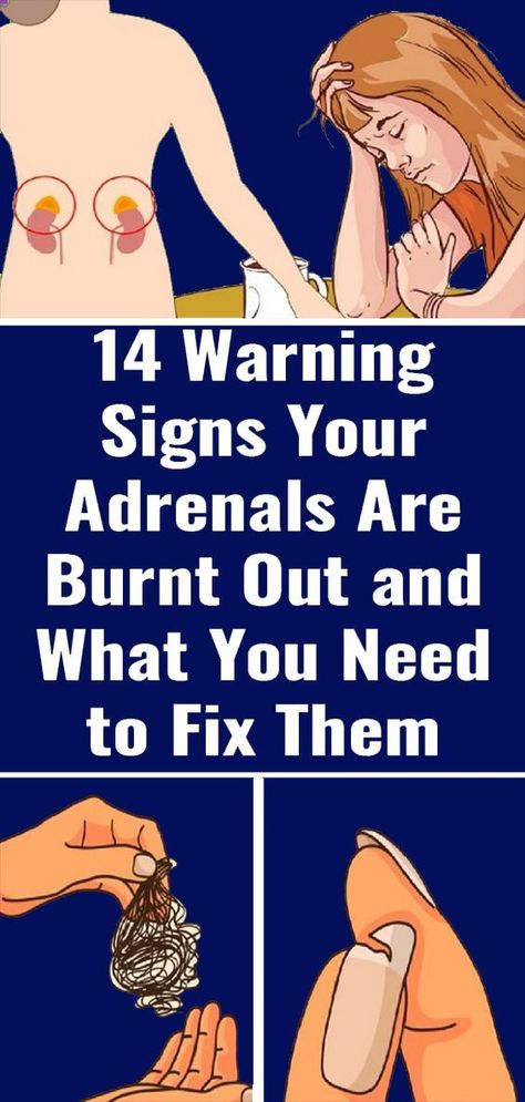 Adrenal Gland, James Wilson, Health Articles Wellness, Healthy Body Weight, Adrenal Glands, Adrenal Fatigue, Health Articles, Warning Signs, Wellness Tips