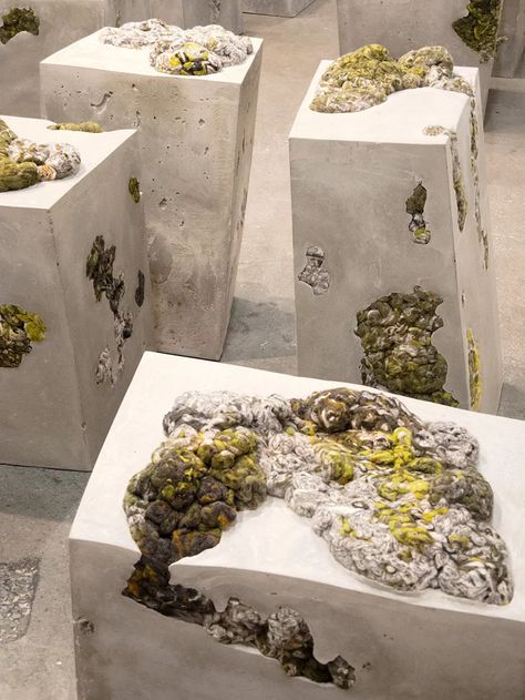 dana barnes references lichen life for endolith casts seating series New York Design, Cement Art, Concrete Art, International Design, Design Week, Sculpture Installation, Natural Forms, Land Art, Ceramic Sculpture