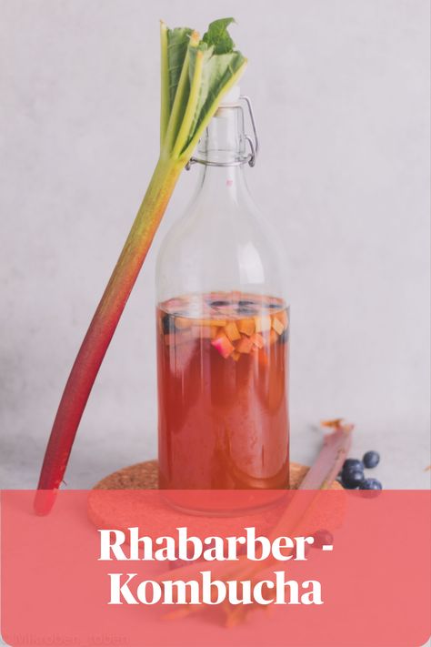 Es ist Rhabarber-Zeit. Rhabarber in der Zweitfermentation verwandelt den Kombucha in ein erfrischendes Frühjahrsgetränk. Ein Rezept und eine Schritt-für-Schritt-Anleitung findest du auf unserem Blog Continuous Brew Kombucha, Overall Aesthetic, Kombucha Recipe, Smoothie Bar, Fermented Drink, Add Personality, Kefir, Kombucha, Cocktail Drinks