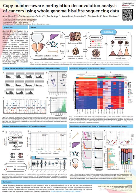 Research poster example: Copy number-aware methylation deconvolution analysis of cancers using whole genome bisulfite sequencing data Chemistry Poster, Scientific Poster Design, Chemistry Posters, Computational Biology, Scientific Poster, Conference Poster, Research Poster, Graphic Design Infographic, Design Infographic