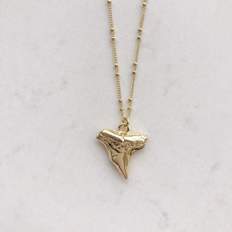 Dainty shark tooth necklace, Dalicate shark charm, Shark jewelry, Ocean necklace, Small tooth neckla Gold Shark Tooth Necklace, Shark Charm, Shark Jewelry, Chain Shipping, Layered Necklace Gold, Gold Medallion Necklace, Jewelry Ocean, Surf Jewelry, Shark Necklace