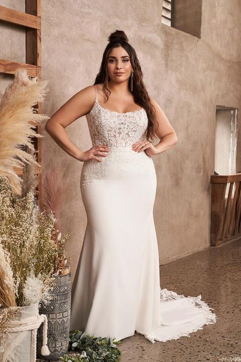 Lillian West Style #66180PS. Plus Size Wedding Dresses Fit And Flare, Plus Size Crepe Wedding Dress, Plus Size Fitted Wedding Dress, Fit And Flare Wedding Dress Plus Size, Plus Size Fit And Flare Wedding Dress, Plus Size Sheath Wedding Dress, Mermaid Wedding Dress Plus Size, Plus Size Mermaid Wedding Dress, Lillian West Bridal