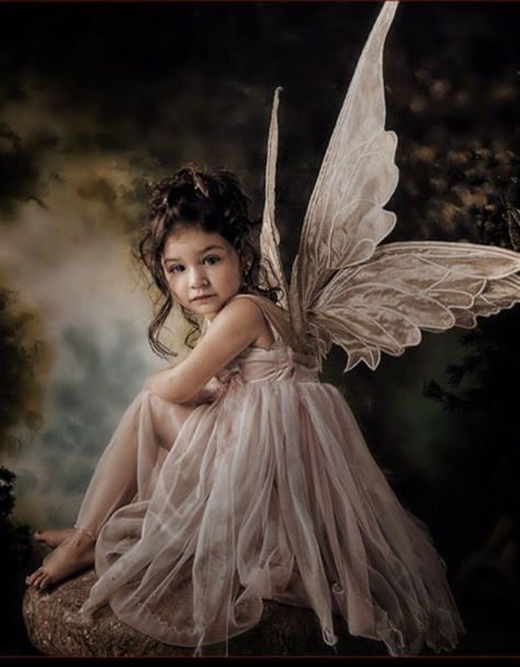 Fairy Photography, Fairy Kit, Foto Kids, Fairy Photoshoot, Fairies Photos, Fairy Pictures, Baby Fairy, Fantasy Photography, Foto Baby