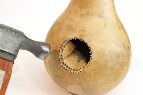 How to Make Gourd Birdhouses How To Dry Gourds, Gourds Diy, How To Build Abs, Gourd Birdhouses, Beautiful Birdhouses, Gourds Birdhouse, Decorative Gourds, Bird House Kits, Hand Painted Gourds