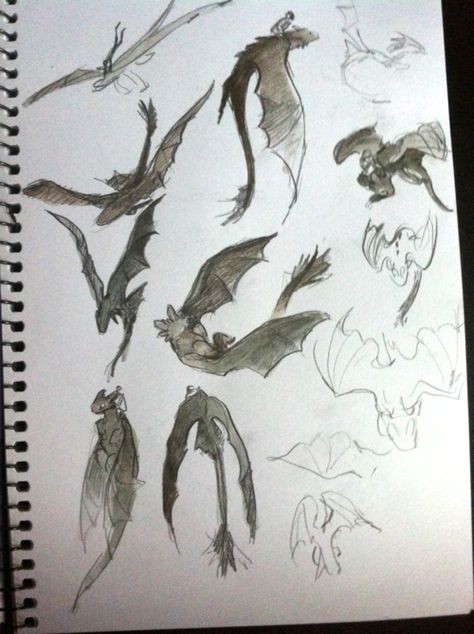 How To Train Your Dragon All Dragons, How To Train Your Dragon Sketches, Httyd Sketches, Httyd Drawings, Httyd Reference, Httyd Tattoo, Httyd Concept Art, Toothless Sketch, Dragon Sketches