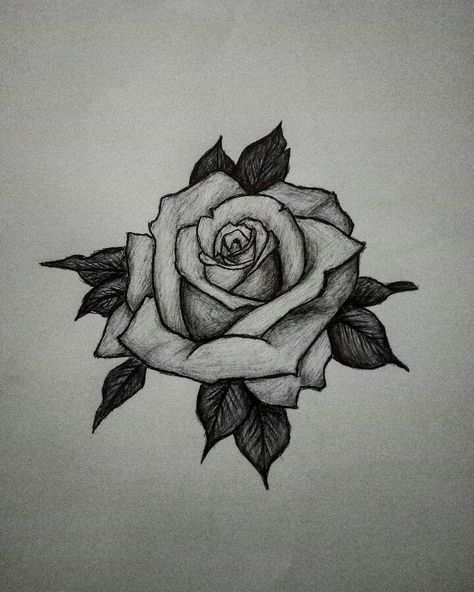 Flower Drawing Shaded, Rose Biro Drawing, Rose Shading Drawing, Shaded Rose Drawing, Rose Drawing Shading, Realistic Rose Drawing Pencil, Dark Flower Drawing, Pencil Rose Drawing, Rose Shading