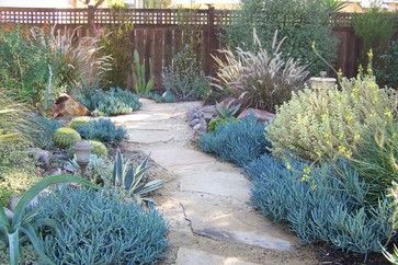 Very successful use of colour. Love the blue chalk sticks contrasting with the stone. California Coastal Garden, San Diego Landscape Ideas, Socal Garden, California Garden Design, Succulent Landscaping Front Yard, Drought Tolerant Landscape Front Yard, Backyard Lounge, California Landscaping, Waterwise Landscaping