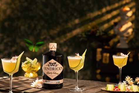 5 thirst-quenching gin summer cocktails you have to try | Dished Hendricks Flora Adora, Malt Wine, Picnic With Friends, Best Summer Cocktails, Dutch Cocoa, Recipes For Summer, Hendricks Gin, Malibu Rum, Fresh Drinks