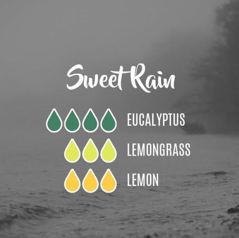 SWEET RAIN DIFFUSER BLEND Rain Diffuser, Essential Oil Combinations, Doterra Essential Oils Recipes, Essential Oil Diffuser Blends Recipes, Essential Oils Guide, Essential Oil Diffuser Recipes, Yl Essential Oils, Essential Oil Mixes, Essential Oil Blends Recipes