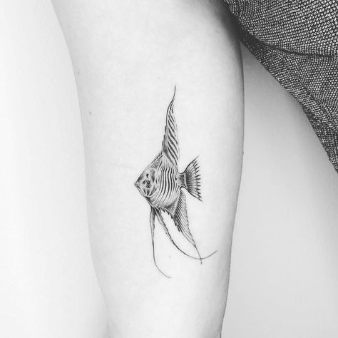 Aquatic Life Tattoo, Galapagos Tattoo, Ocean Animals Tattoo, Angel Fish Tattoo, Cute Fish Tattoo, Angelfish Tattoo, Aquatic Tattoos, Fish Tattoo Ideas, Ocean Life Tattoos