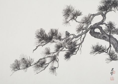 Fan Tchunpi, Pine Branches Pine Tattoo, Tree Branch Tattoo, Pine Tree Drawing, Branch Drawing, Pine Tree Painting, Pine Tree Art, Japanese Ink Painting, Pine Tree Tattoo, Abstract Tree Painting