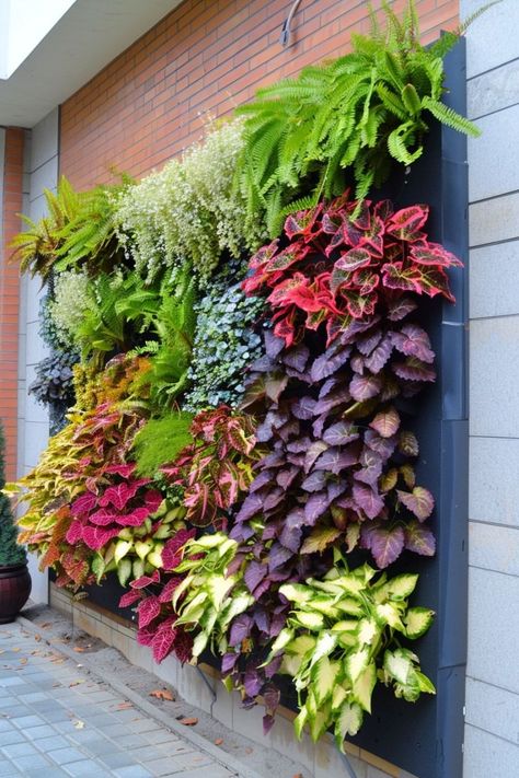 https://youtu.be/MViCx_xkNJg Outdoor Living Wall Diy Vertical Gardens, Green Wall Ideas, Fence Trellis, Living Wall Garden, Green Wall Garden, Vertical Garden Wall Planter, Outdoor Planter Ideas, Hanging Plants Outdoor, Wall Green