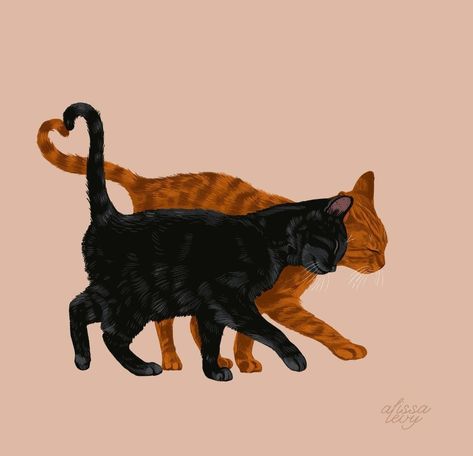 Create Pin, Cute Illustrations, Photography Black And White, Cat Photography, Introverted, Orange Cat, Cat Drawing, Crazy Cat Lady, Cute Illustration