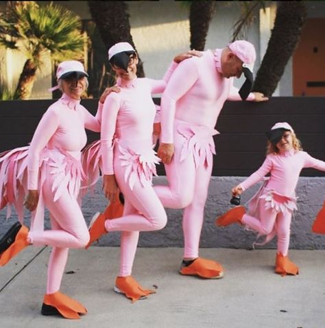 Flamingo Halloween Costume, Flamingo Halloween, Diy Flamingo, Flamingo Outfit, Flamingo Costume, Kiss Dress, Pink Costume, Diy Kostüm, Mardi Gras Costumes