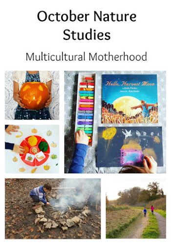 Multicultural Activities, Park Activities, Homeschool Nature Study, Forest School Activities, Nature Studies, Nature Education, Fun Park, Wild Waters, Family Nature