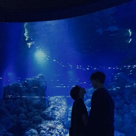 Aquarium Aesthetic Banner, Aquarium Date Aesthetic, Aesthetic Aquarium, Aquarium Date, Aquarium Aesthetic, Aquarium Photos, Aesthetic Instagram Accounts, Live Aquarium, Dream Date