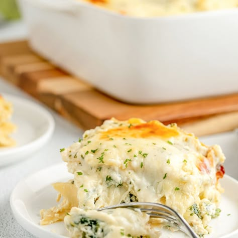 Chicken Lasagna {with Homemade White Sauce!} | Lil' Luna Easy Chicken Lasagna Recipe, Homemade White Sauce, White Chicken Lasagna, Chicken Lasagna Recipe, White Lasagna, Food Thoughts, Bday Dinner, Lil Luna, Slow Cooker Lasagna