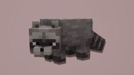 Raccoon Minecraft, Minecraft Animals, Killer Bunny, Minecraft Images, Minecraft Blocks, Minecraft Interior Design, Minecraft Pictures, Cool Minecraft Creations, Minecraft Mobs