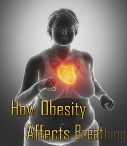 Can Being Overweight Cause Shortness Of Breath | For Big & Heavy People Hard Breathing, Breathing Problems, Weight Problems, Adipose Tissue, Heart Problems, Classic Songs, Shortness Of Breath, Breathing Techniques, Cholesterol Levels