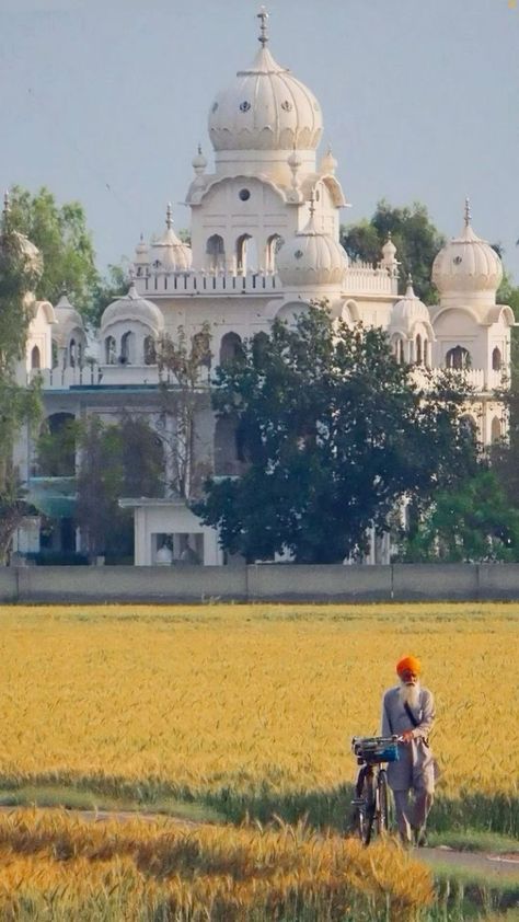 Guru Wallpaper, Temple Wallpaper, Golden Temple Wallpaper, Black Flowers Wallpaper, Anime Wallpaper 1920x1080, Dark Portrait, Guru Pics, Art Village, Crush Pics