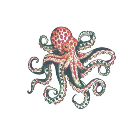 Traditional Tattoo Octopus, Old School Traditional Tattoo, Tattoo Octopus, Tattoo Sea, Old School Traditional, Realistic Temporary Tattoos, Movie Industry, Sea Tattoo, Jellyfish Tattoo