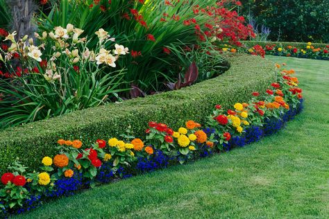 landscaping with hedges and marigolds Boxwood Landscaping, Metal Garden Fencing, Small Yard Landscaping, Easy Landscaping, Backyard Landscape, Landscape Plans, Landscaping Tips, Garden Edging, Garden Borders