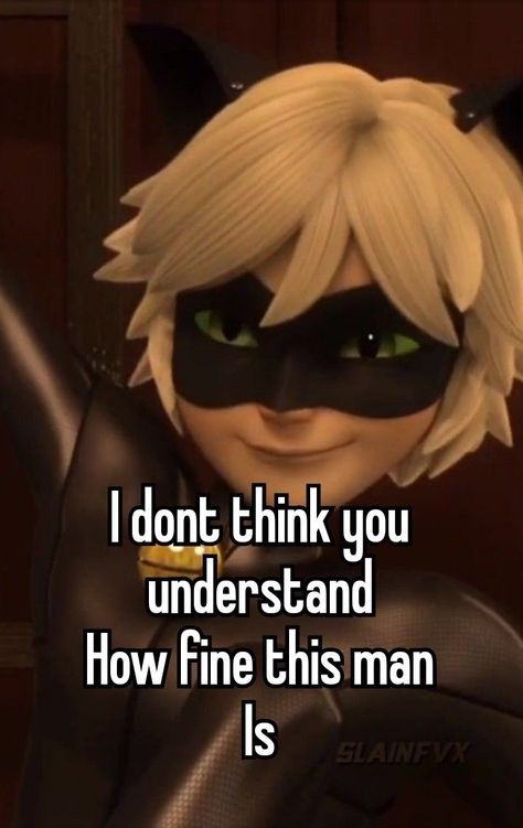 Ladybug Funny, Ladybug And Cat Noir, Miraculous Ladybug Oc, Miraculous Ladybug Memes, Miraculous Ladybug Fanfiction, Miraculous Characters, Luck Quotes, Miraculous Ladybug Movie, Miraculous Ladybug Fan Art