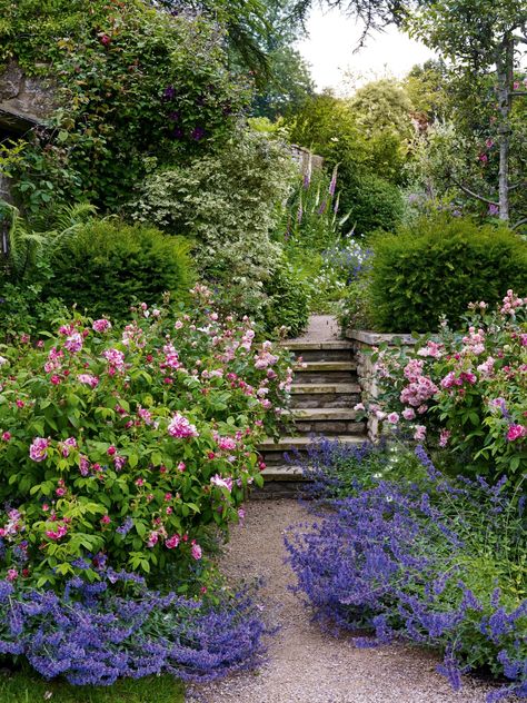 Tattoo Plant, Estate Garden, Cottage Garden Design, Garden Steps, Easy Landscaping, Magic Garden, English Cottage Garden, English Country Gardens, Garden Park