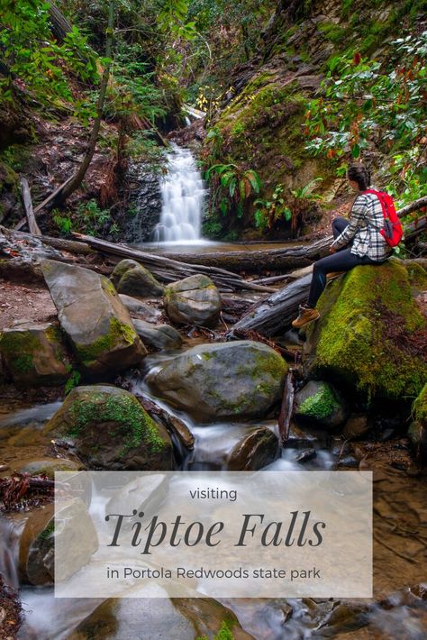 Portola Redwoods State Park: Tip Toe Falls – MilaDidIt Northern California Travel, Big Basin, California Travel Guide, Lassen Volcanic, Lassen Volcanic National Park, Redwood National Park, Places In California, North Bay, Waterfall Hikes