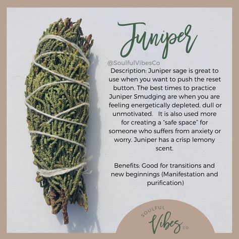 Are you familiar with Juniper?⁠ -⁠ Benefits of Juniper:⁠ ⁠ 1. creates safe⁠ 2. protection⁠ 3. invites positive energy⁠ 4. provides a… Juniper Benefits, Kale Dressing, Cleaning Energy, Smudging Sticks, Earth Medicine, Seamoss Gel, Witchcraft 101, Smudging Prayer, Spiritual Shop