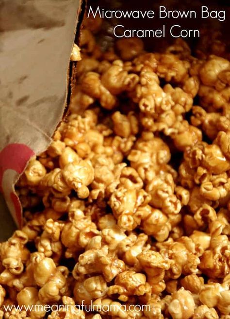 microwave brown bag caramel corn Carmel Corn Recipe Easy, Carmel Corn Recipe, Microwave Caramel Popcorn, Free Christmas Crochet Patterns, Microwave Caramel Corn, Free Christmas Crochet, Caramel Corn Recipe, Popcorn Recipes Easy, Caramel Corn Recipes