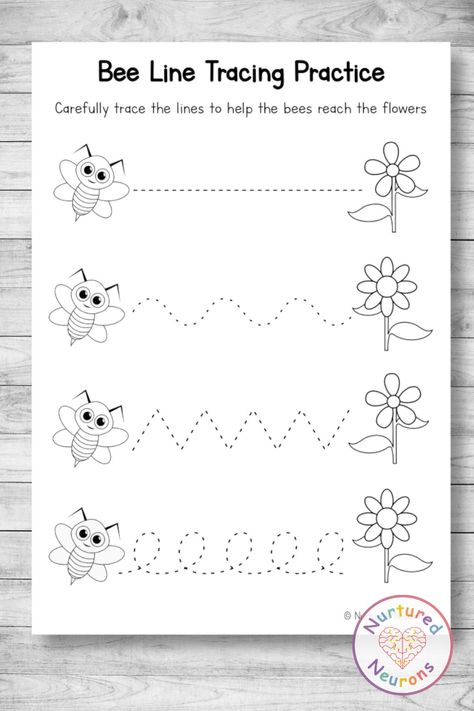 These bee line tracing sheets are a perfect pencil control activity for spring. These preschool tracing sheets are great for developing those pencil and fine motor skills! There's two difficulties and both are available in color and black and white. You can grab the preschool worksheets over at Nurtured Neurons today! #bees #spring #springworksheets #preschoolworksheets #kindergartenworksheets #linetracing #tracing #tracingsheets #prek #preschool #pdf Bee Tracing Worksheet, Bee Worksheet Preschool, Pencil Control Activities Preschool, Bee Worksheets Free Printable, Bee Worksheets For Kids, Tracing Sheets For Preschoolers, Bee Worksheet, Tracing Practice Preschool, Hibernation Preschool Activities