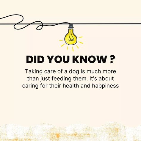 At PET ED, we understand that your dog is part of the family. That’s why we offer the best tips and solutions to ensure a long, healthy, and happy life for your pet. Follow us and discover how to make a difference in your best friend’s well-being! #DogCare #petwellbeing #dogtips #happypetlife Healthy And Happy, Happy Animals, Make A Difference, Dog Care, Your Pet, Well Being, Happy Life, The Family, Best Friend