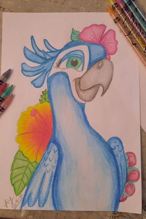 Rio Bird Drawing, Easy Drawings Crayons, Drawing Colored Pencil Easy, Drawing Ideas Easy Color, Animated Animals Drawings, Easy Colorful Drawings, Something Cool To Draw, Rio Drawing, Drawing Ideas With Color