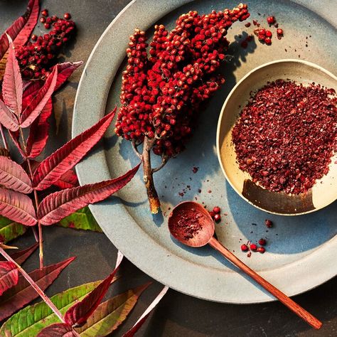 How Sumac Brings Southern Flavor to Your Table – Plus 4 Recipes — Southern Living Recipes Southern, Summer To Fall, The Bush, Food Tips, Southern Recipes, Southern Living, Late Summer, Red Berries, In Water